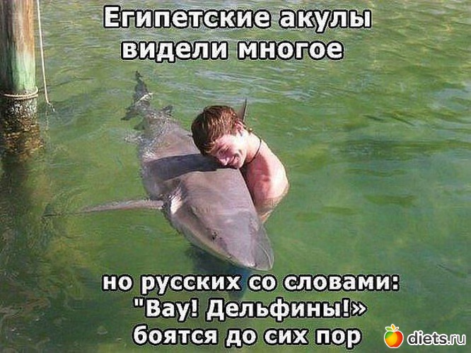 17 ����: ��������!