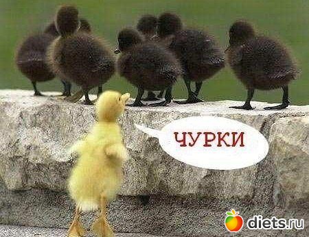 ��������!