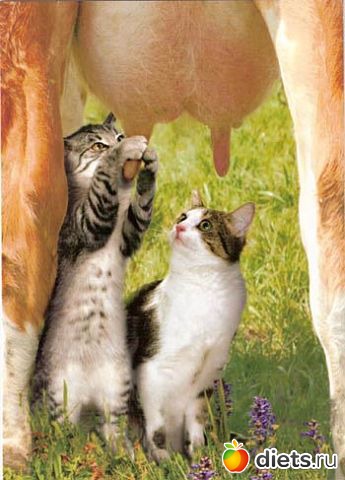 ��������!