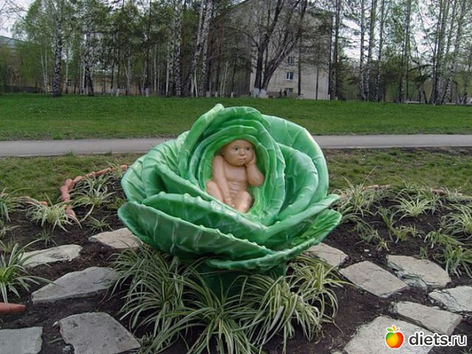 23 ����: ��������!