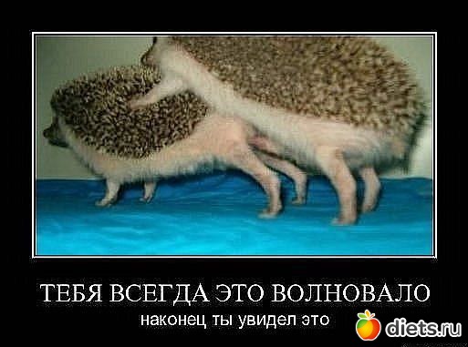 ��������!