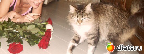 не нужны мне ваши розы.....