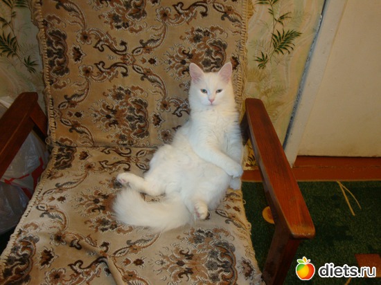 Боня, альбом: Любимица