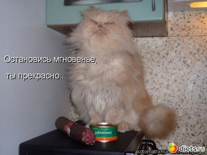 1 ����: �����������2