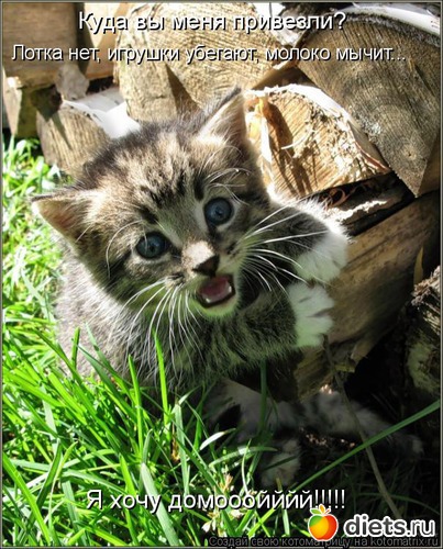 2 ����: �����������2