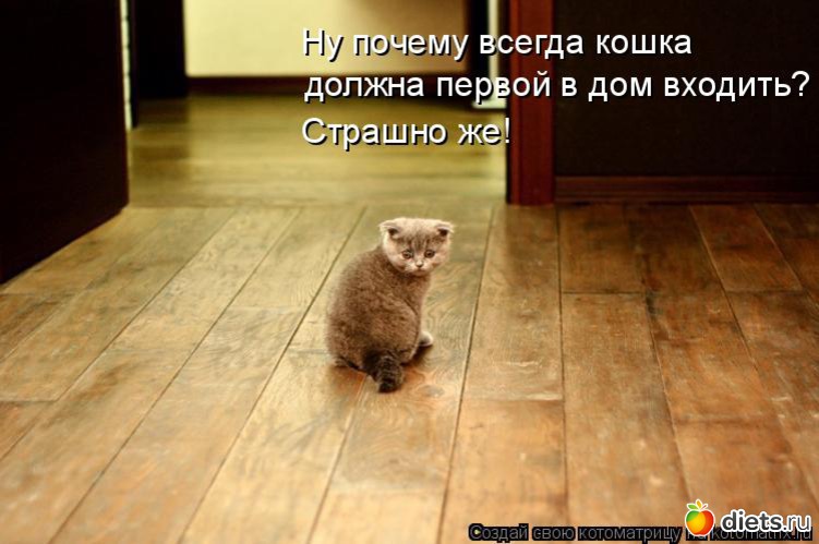 3 ����: �����������2