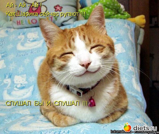 4 ����: �����������2