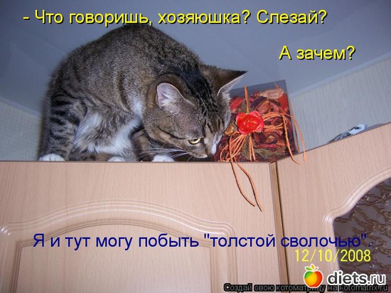 5 ����: �����������2