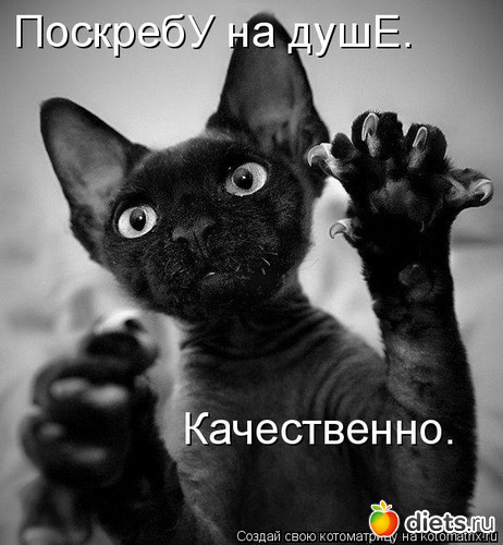 6 ����: �����������2