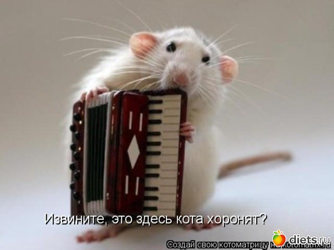 7 ����: �����������2