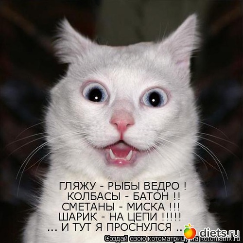 8 ����: �����������2