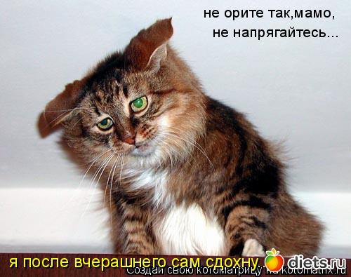 �����������2