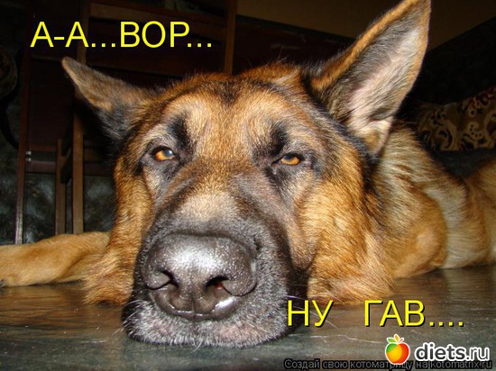 10 ����: �����������2