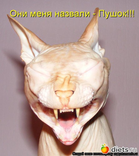 11 ����: �����������2