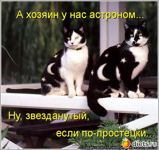 14 ����: �����������2