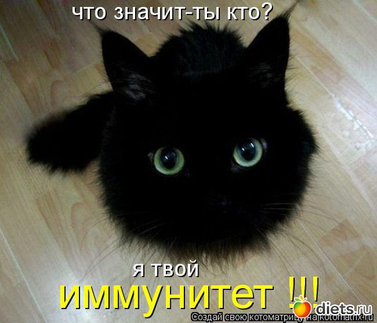 15 ����: �����������2