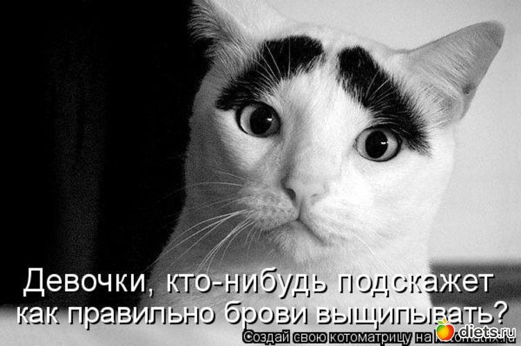 16 ����: �����������2