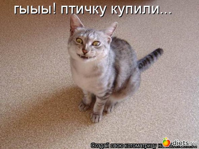 17 ����: �����������2