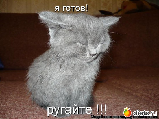 18 ����: �����������2