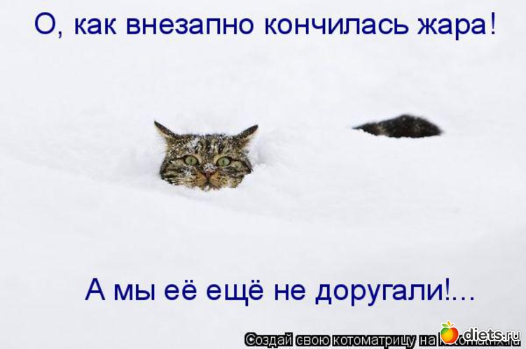 19 ����: �����������2