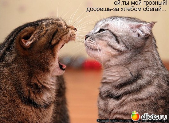 21 ����: �����������2