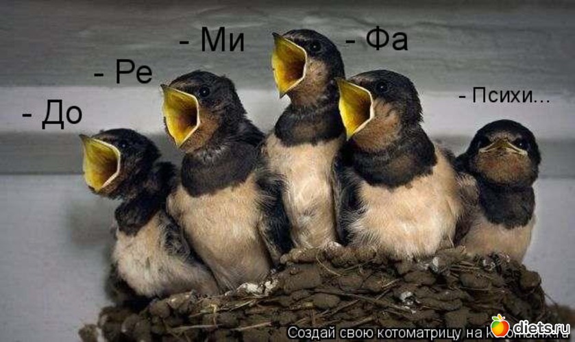 22 ����: �����������2