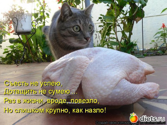 23 ����: �����������2