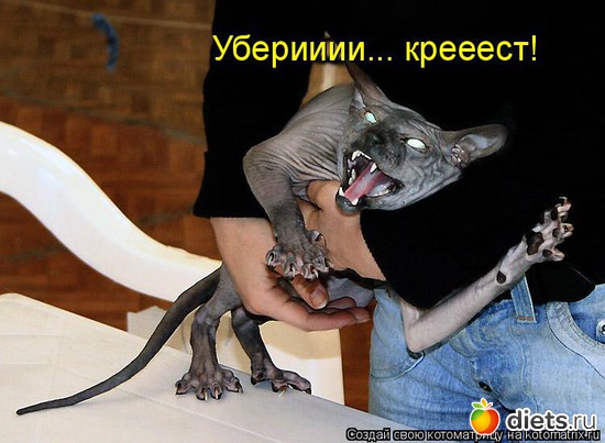 24 ����: �����������2