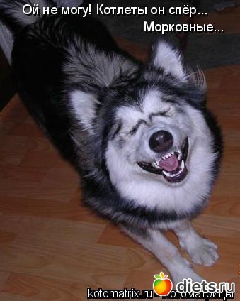 �����������2