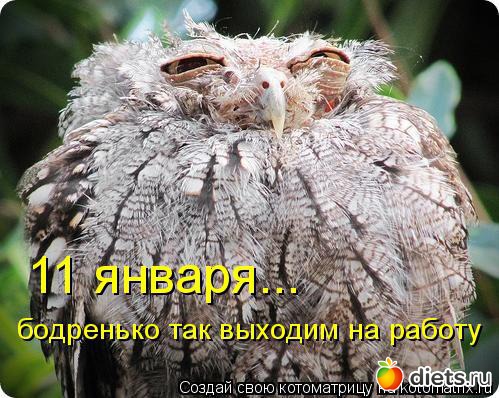 �����������2