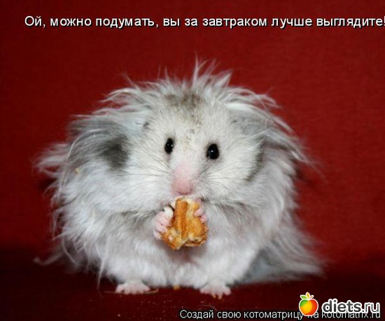 27 ����: �����������2