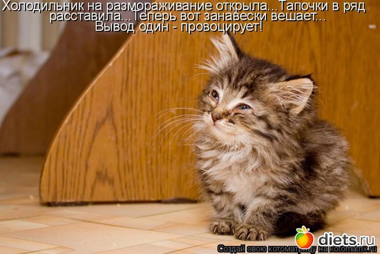 28 ����: �����������2