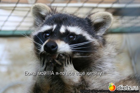 29 ����: �����������2