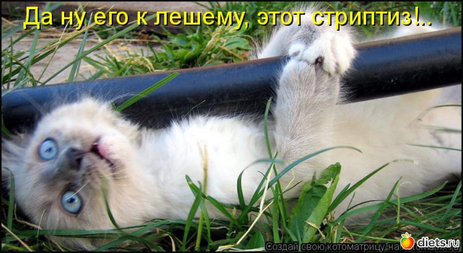 30 ����: �����������2