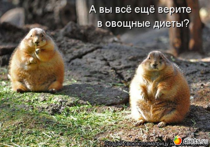 32 ����: �����������2