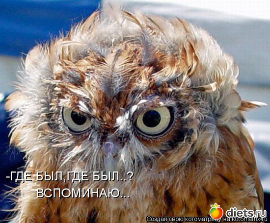 33 ����: �����������2