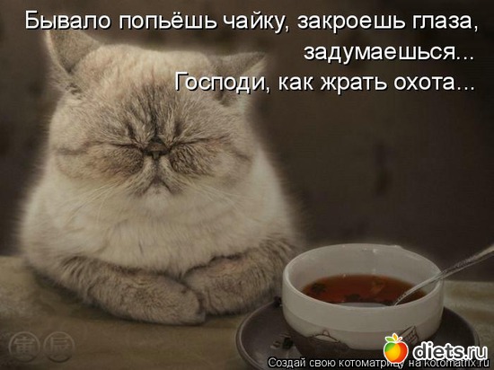 34 ����: �����������2