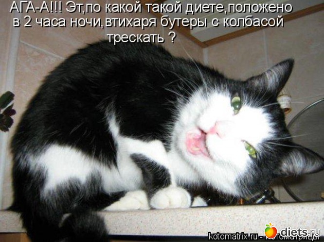 35 ����: �����������2