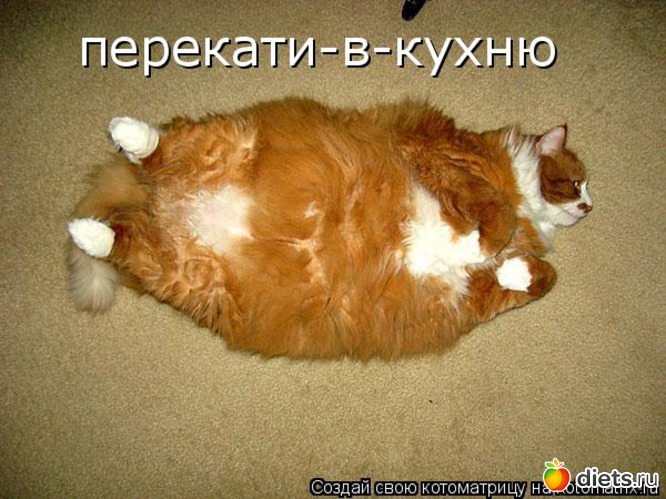 36 ����: �����������2