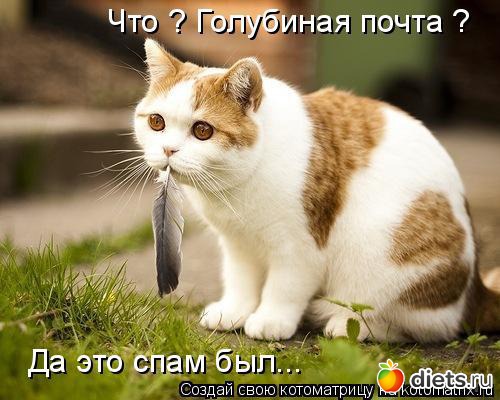 �����������2