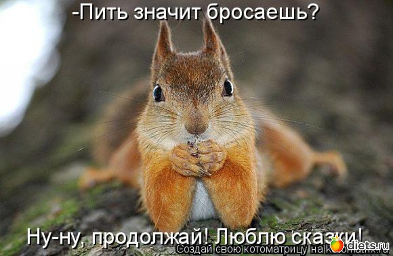 39 ����: �����������2