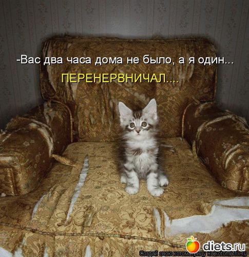 40 ����: �����������2