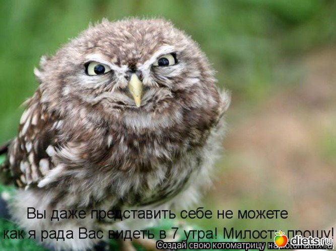 44 ����: �����������2