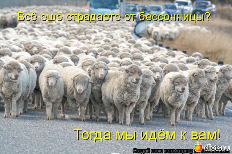 45 ����: �����������2