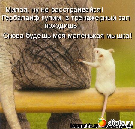 �����������2