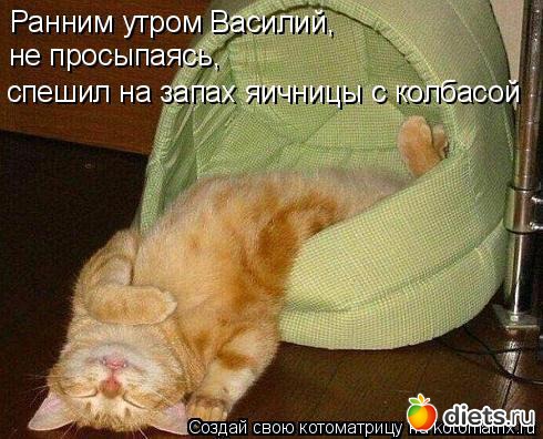 �����������2