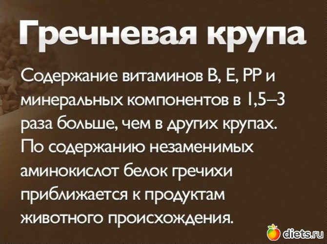 26 ����: ������� �����.