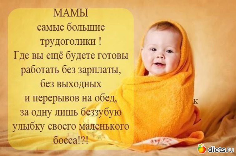 1 ����: �����-��������.