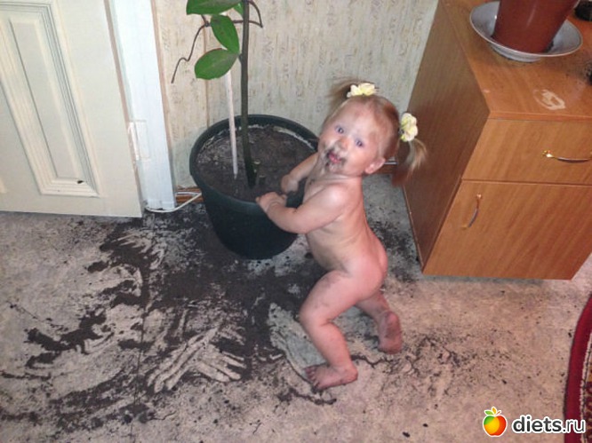 8 ����: �����-��������.