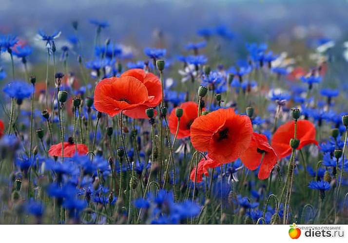 1 ����: �� ������� �������� ������, � ������ ���������� ��� ������ �������. (�.�. �������)